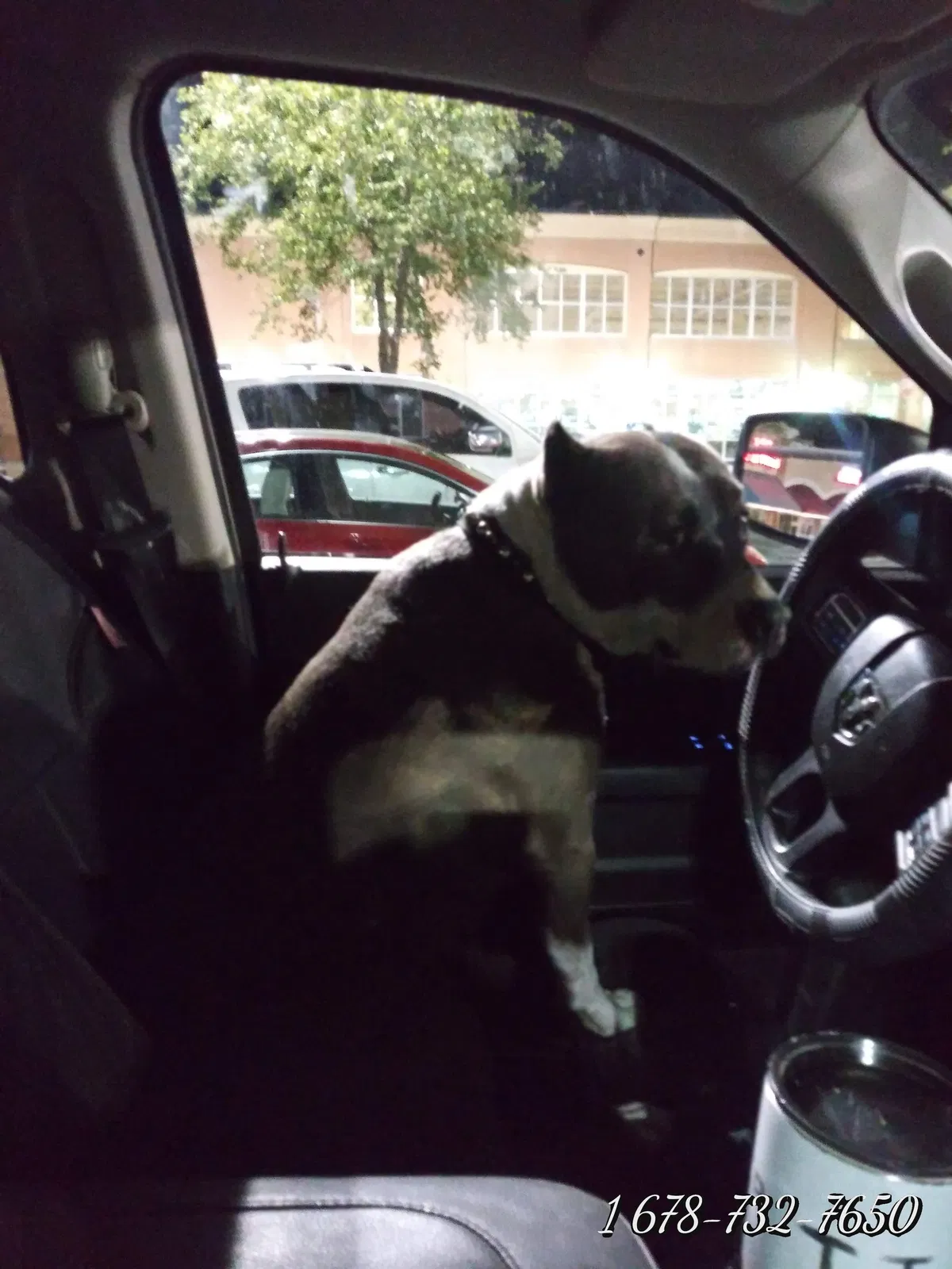Lost dog in Jonesboro, GA, 30238