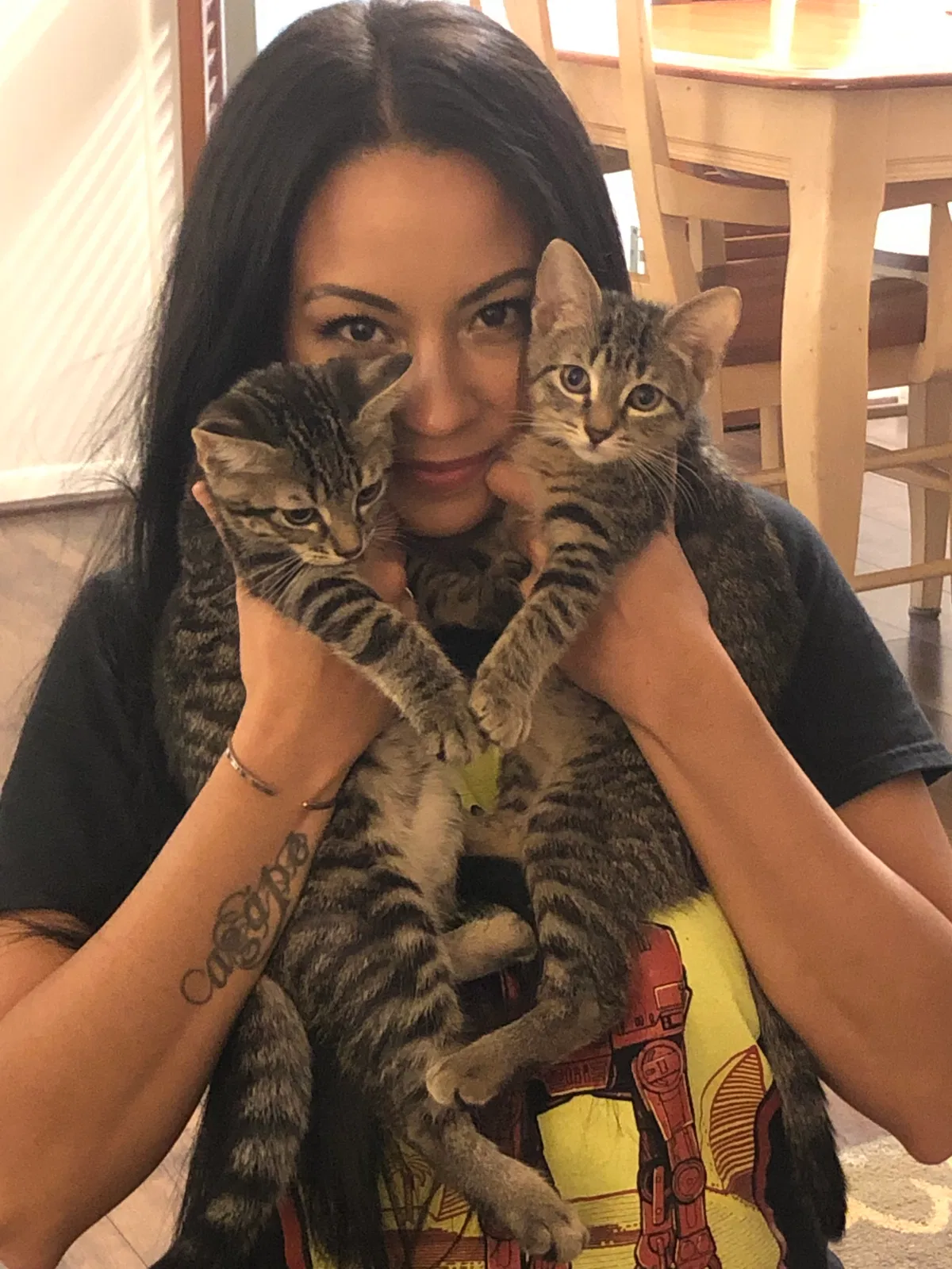 Lost cat in East Hartford, CT, 6118