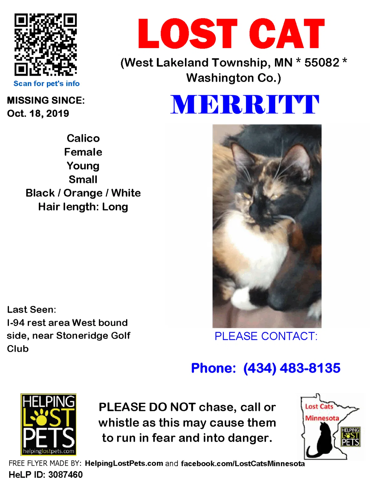 Lost cat in Unknown, MN, 0