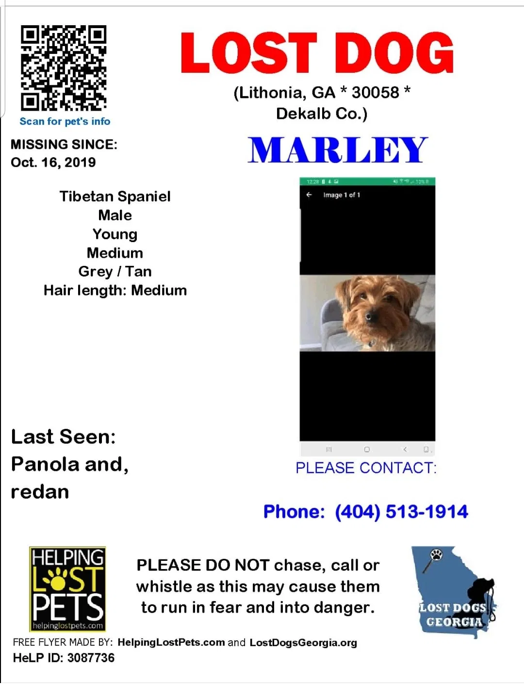 Lost dog in Lithonia, GA, 30058