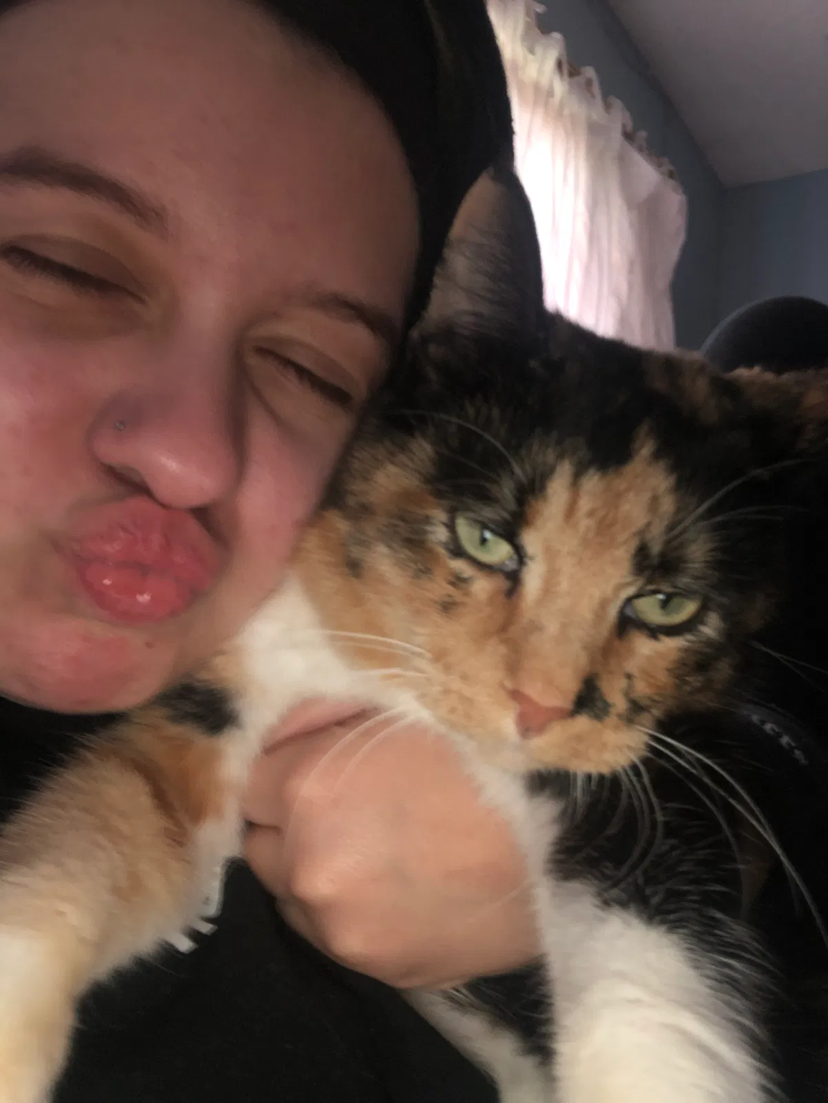 Lost cat in Anoka, MN, 55303