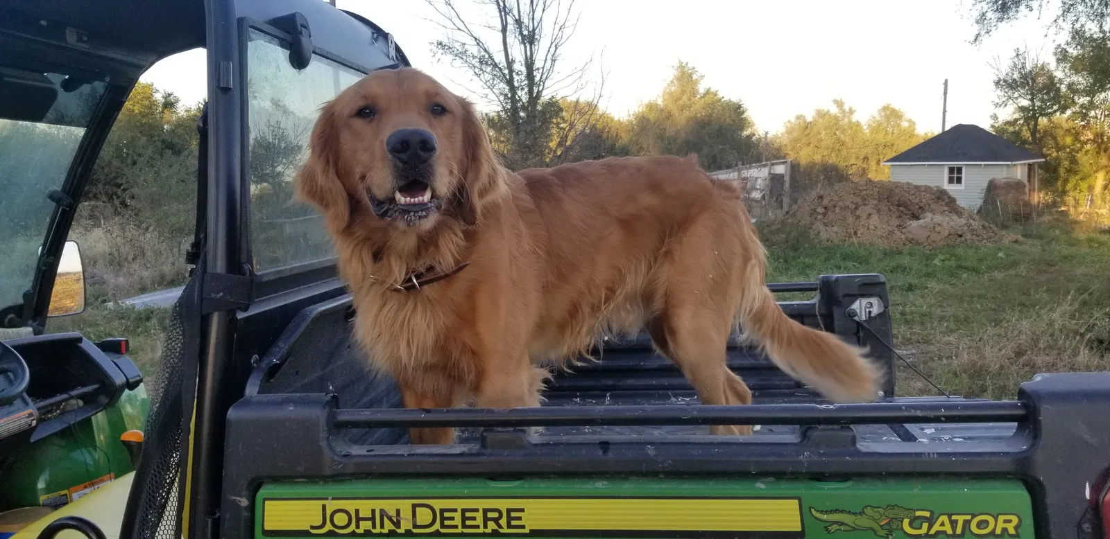 Lost dog in Milford, NE, 68405