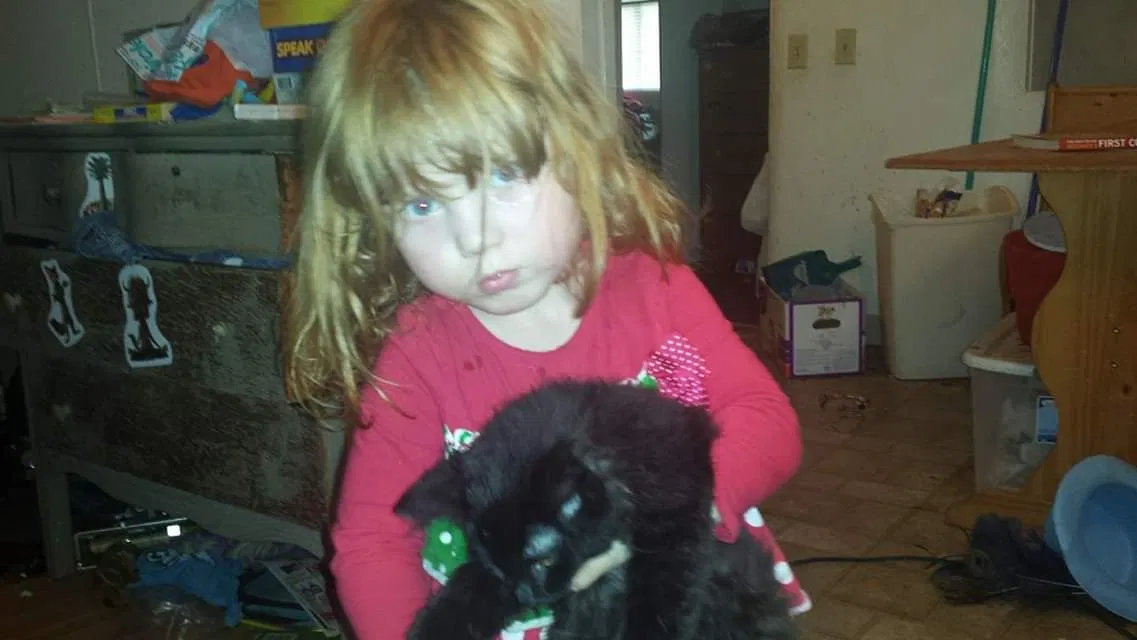 Lost cat in Spokane, WA, 99212