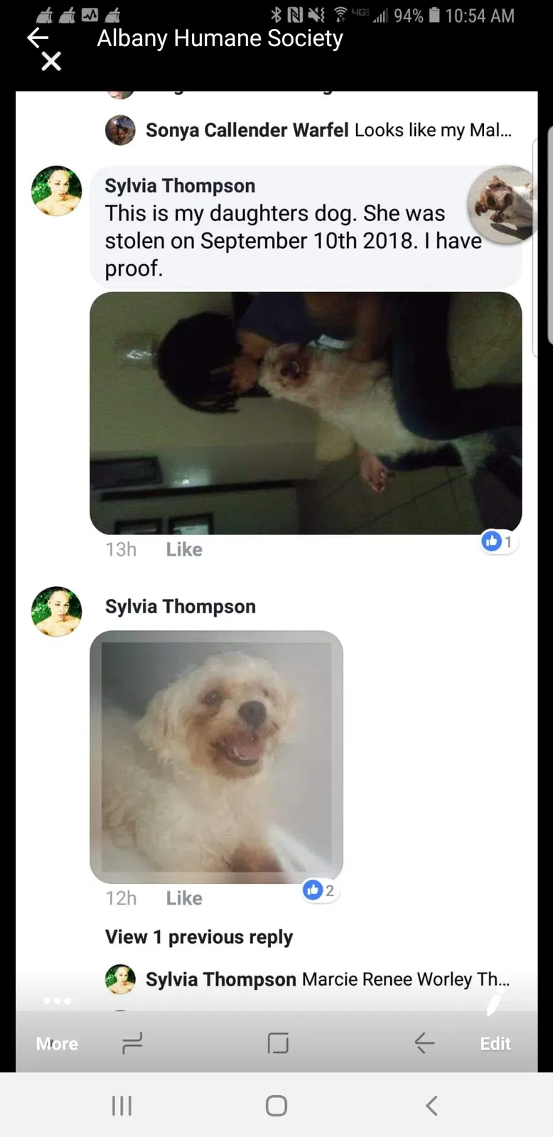Lost dog in Riverdale, GA, 30274