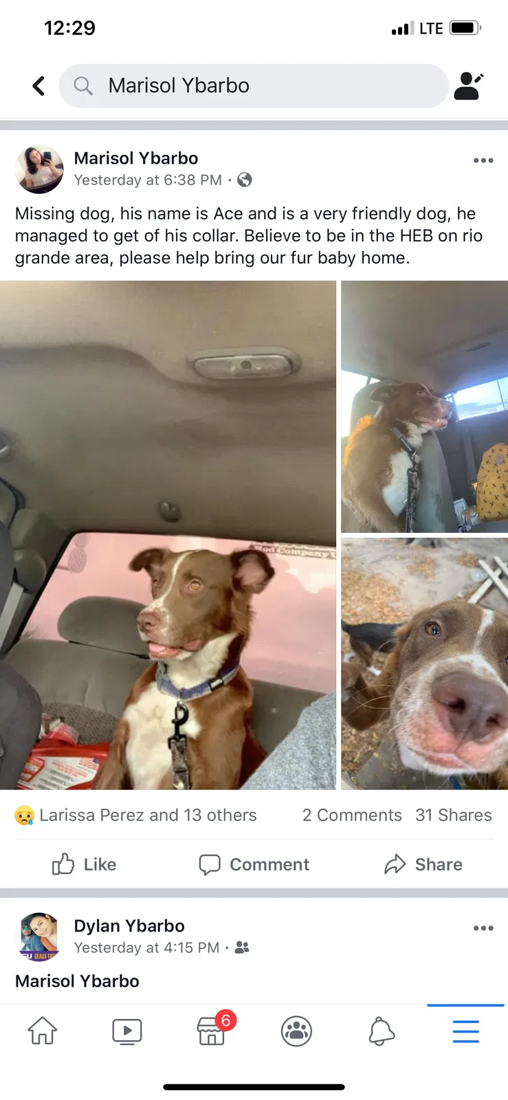 Lost dog in Victoria, TX, 77901