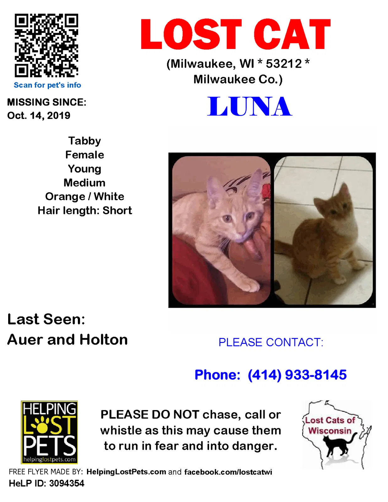 Lost cat in Milwaukee, WI, 53212