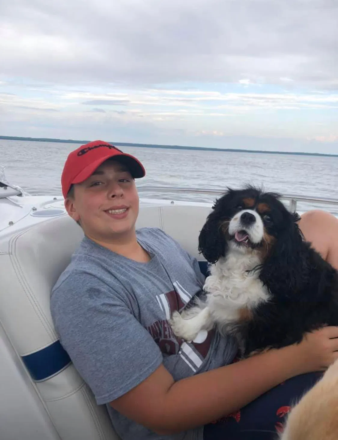 Lost dog in Rochester, MI, 48306