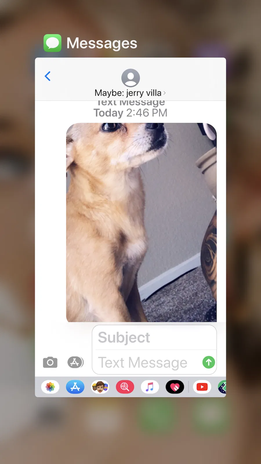 Lost dog in Moreno Valley, CA, 92557