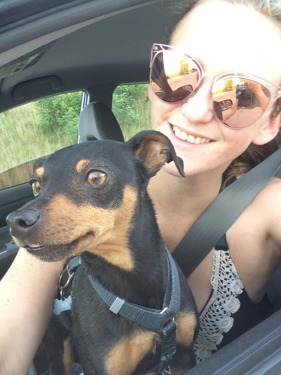 Lost dog in Tulsa, OK, 74126