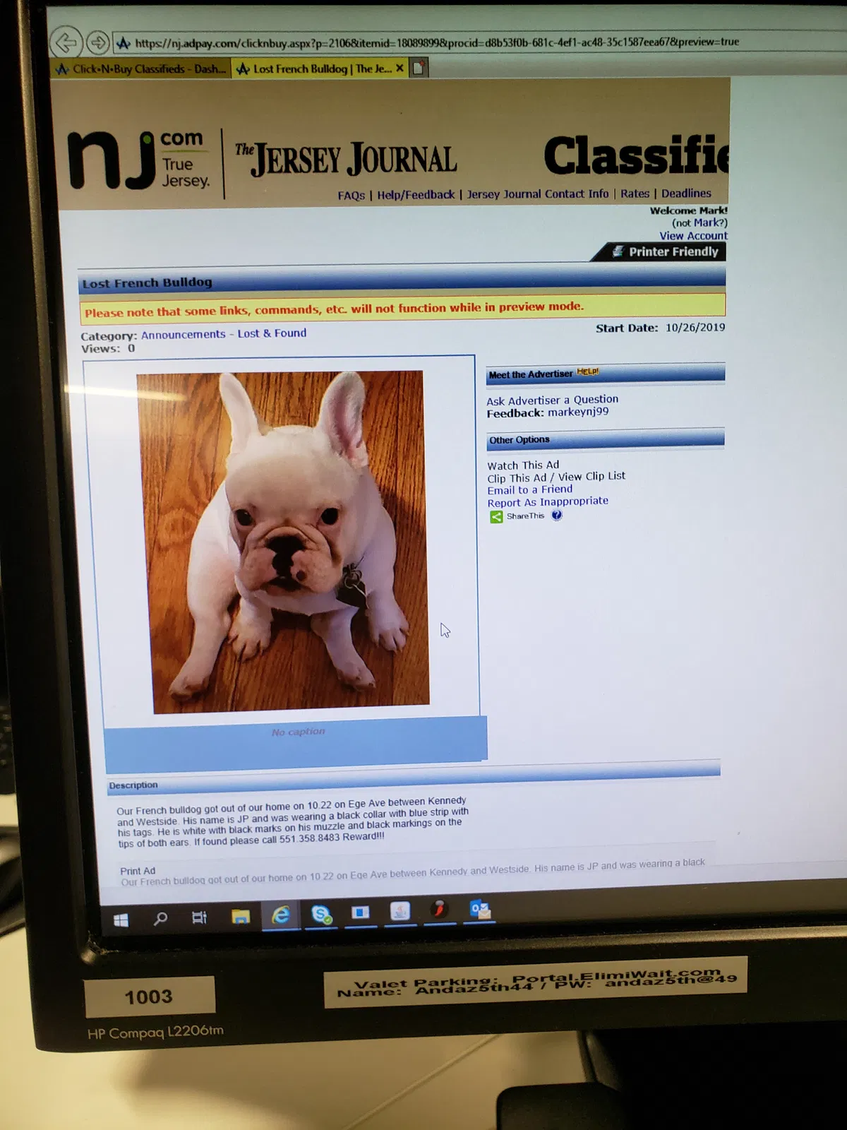 Lost dog in Jersey City, NJ, 7304