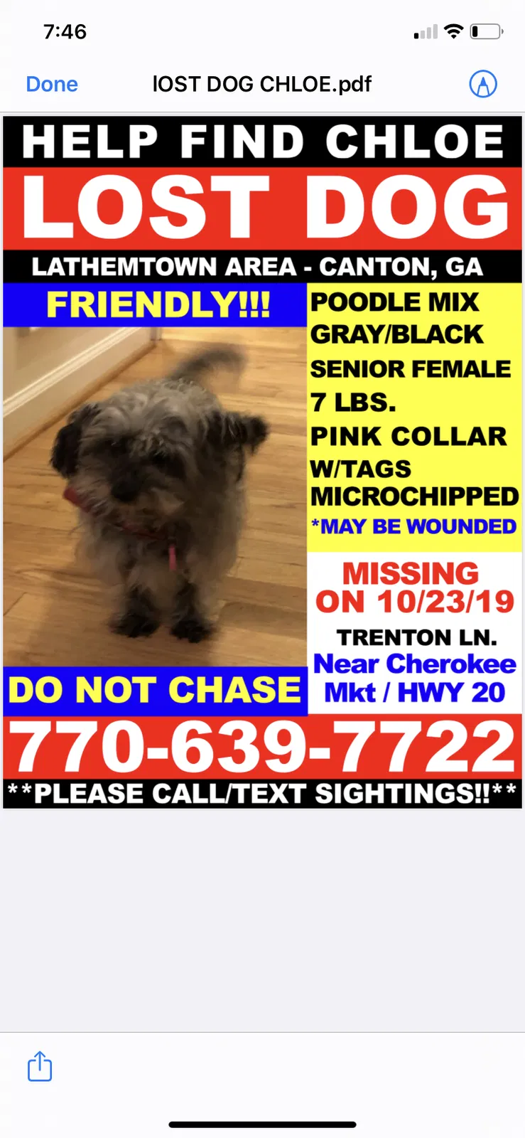 Lost dog in Canton, GA, 30115