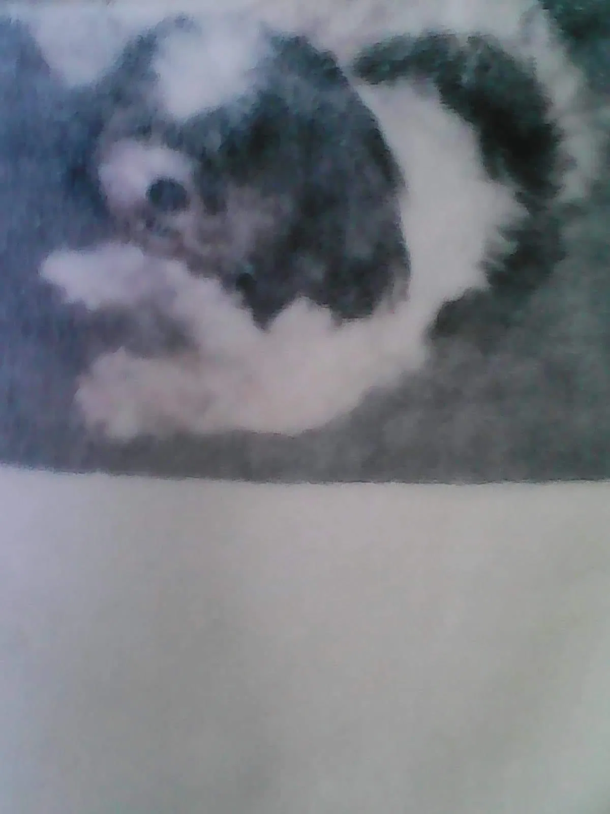 Lost dog in Babson Park, FL, 33827
