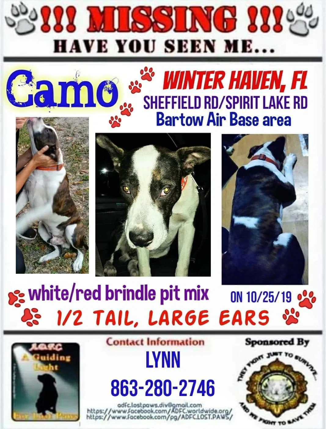 Lost dog in Winter Haven, FL, 33880