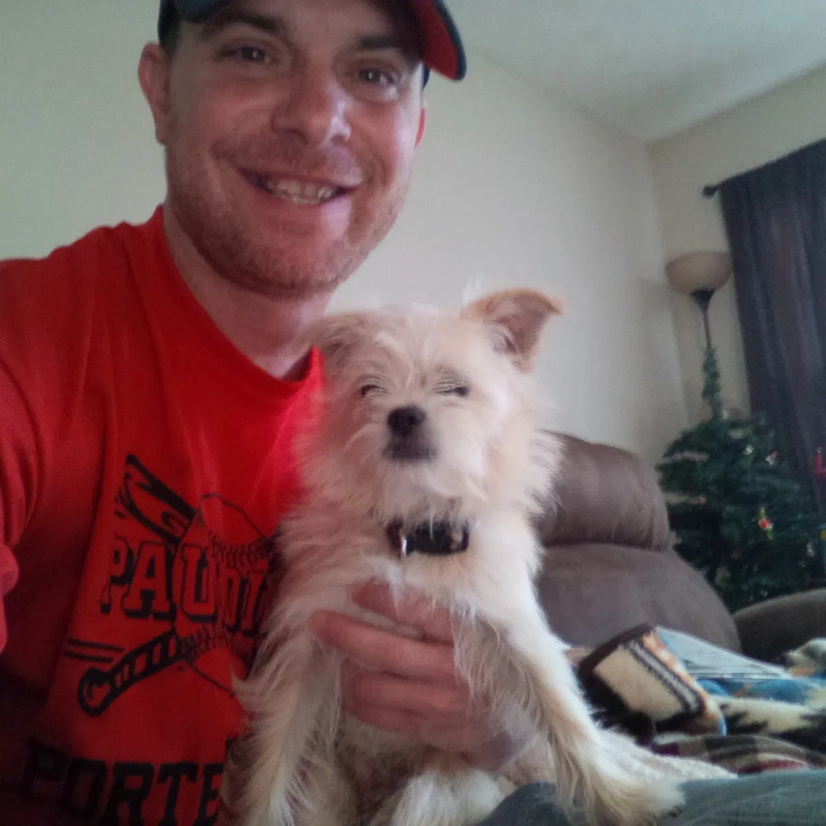 Lost dog in Van Wert, OH, 45891