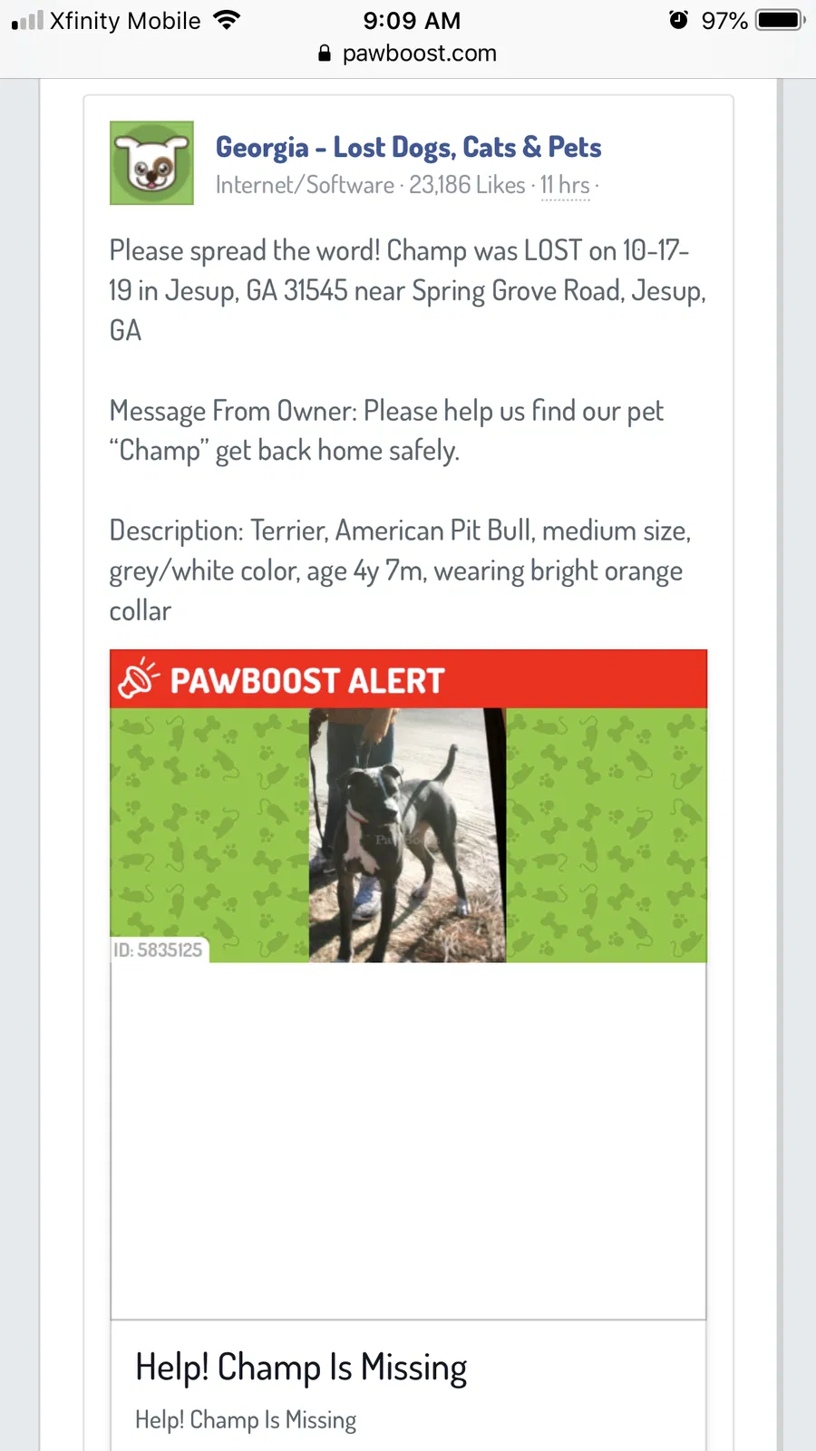 Lost dog in Jesup, GA, 31545