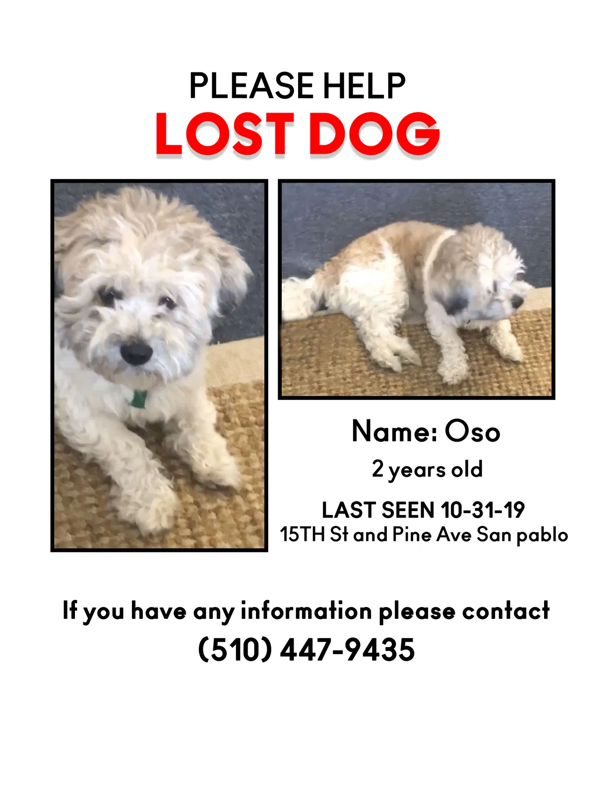 Lost dog in San Pablo, CA, 94806