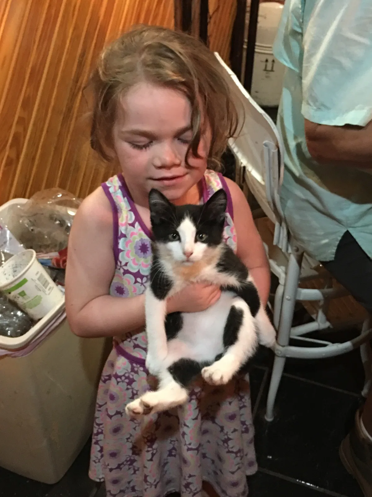 Lost cat in San Angelo, TX, 76903