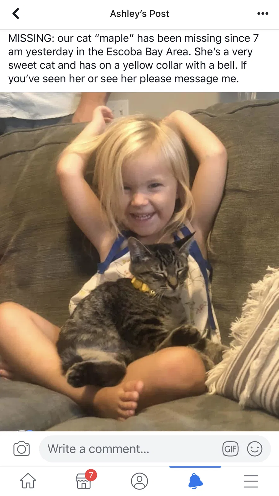 Lost cat in Sneads Ferry, NC, 28460