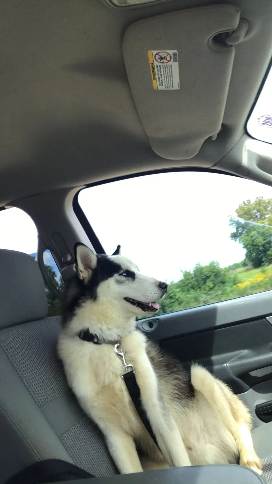 Lost dog in Muscoda, WI, 53573