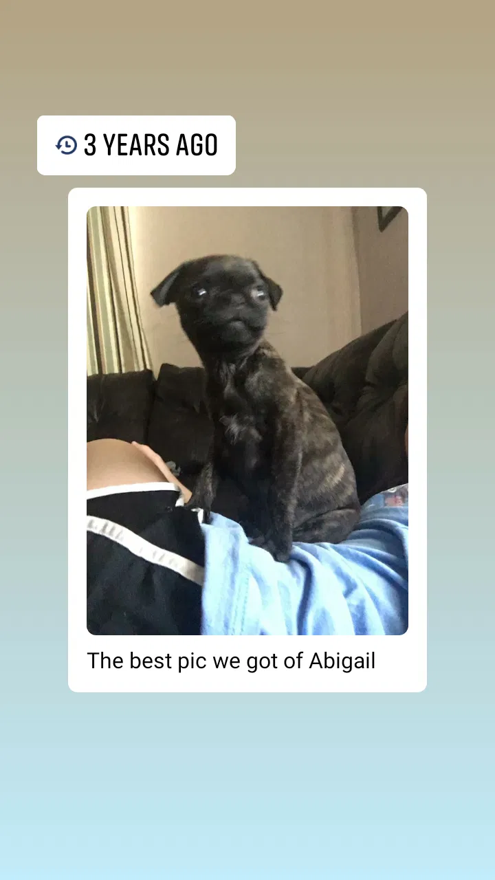Lost dog in Moss Point, MS, 39563
