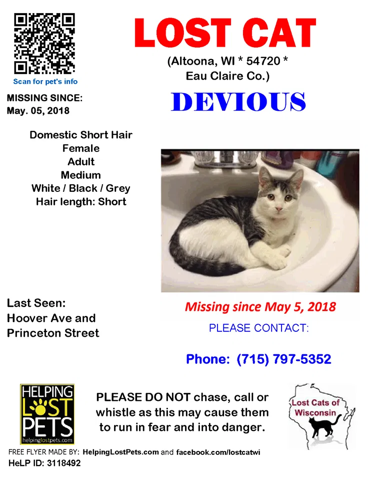 Lost cat in Altoona, WI, 54720