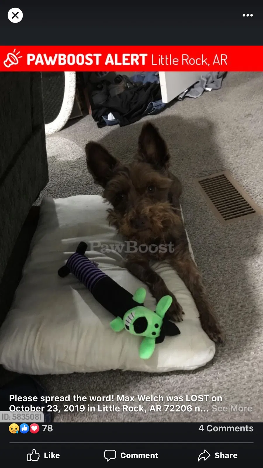 Lost dog in Mabelvale, AR, 72103