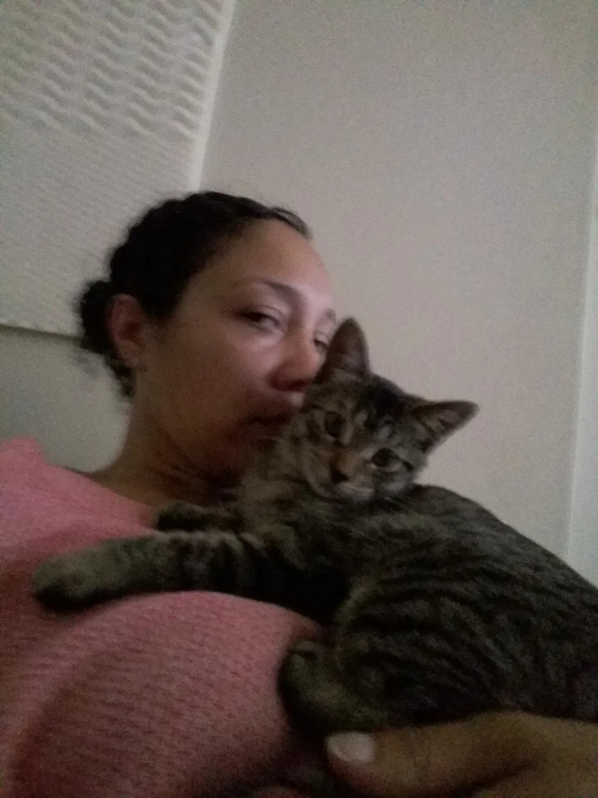 Lost cat in Puyallup, WA, 98374