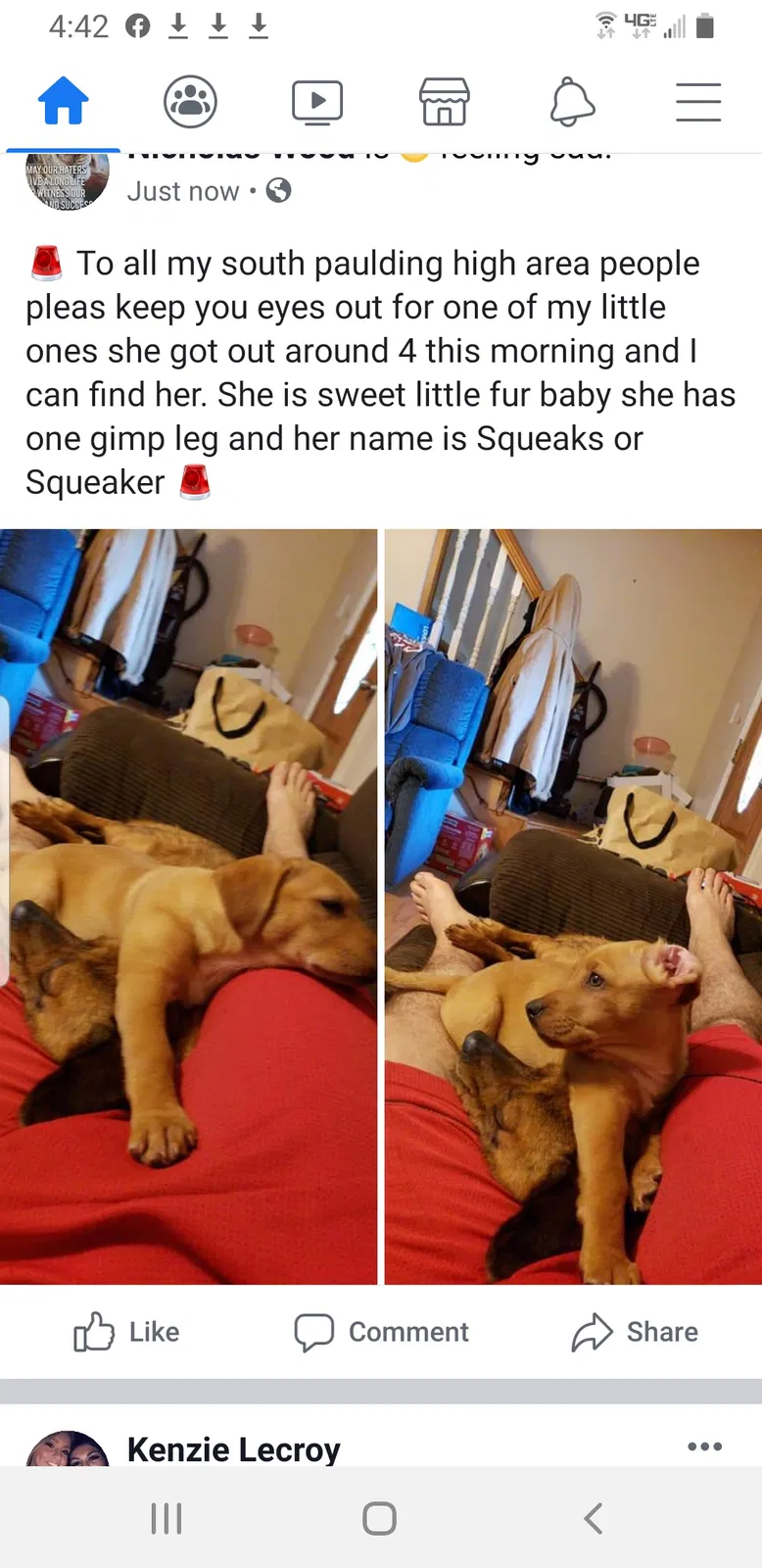 Lost dog in Douglasville, GA, 30134