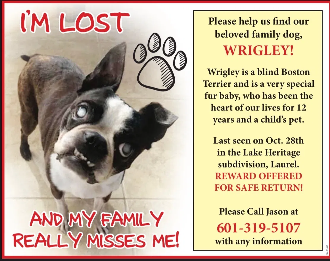 Lost dog in Laurel, MS, 39443