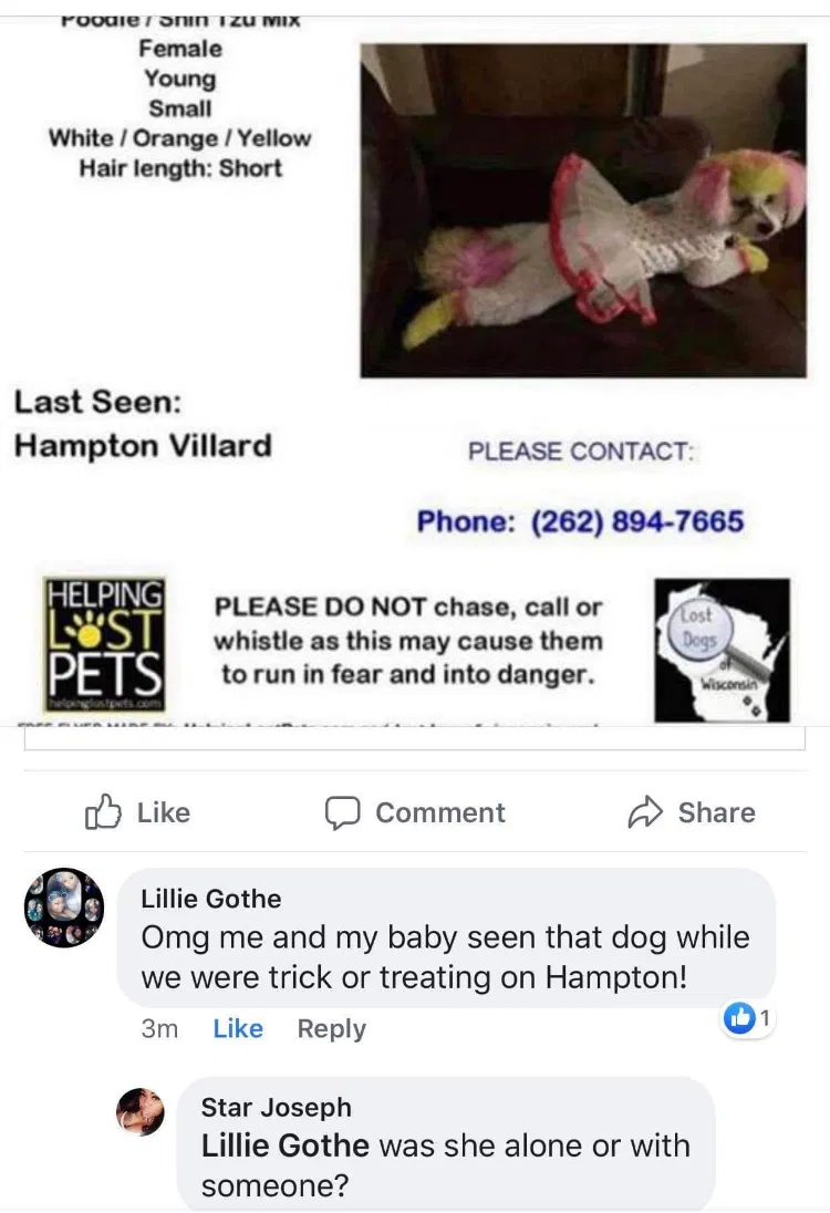 Lost dog in Milwaukee, WI, 53218