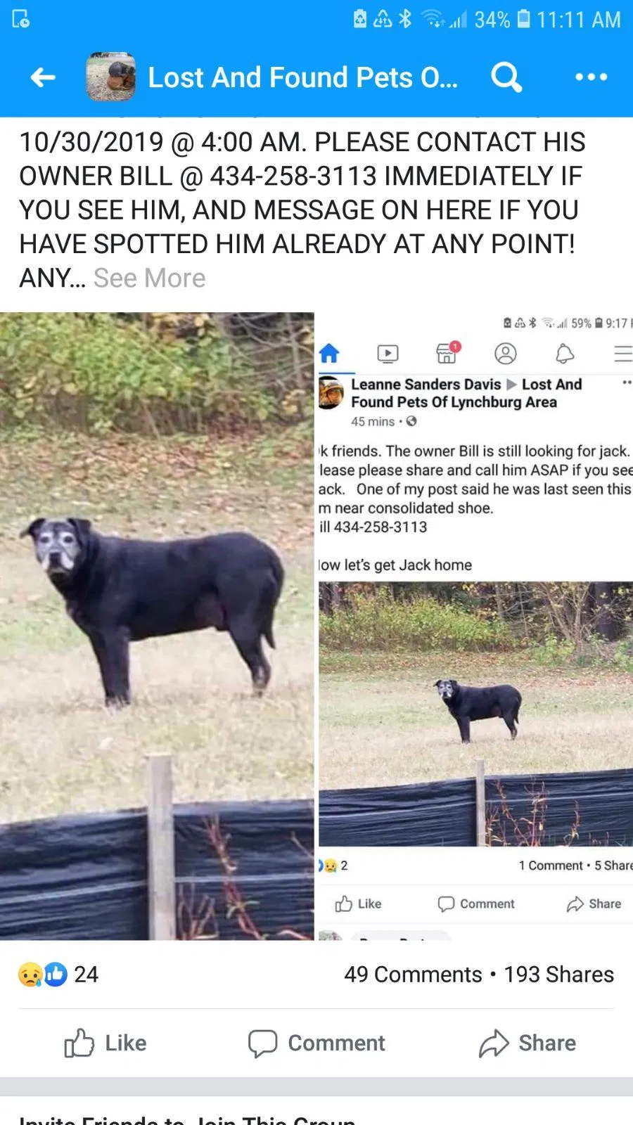 Lost dog in Lynchburg, VA, 24502