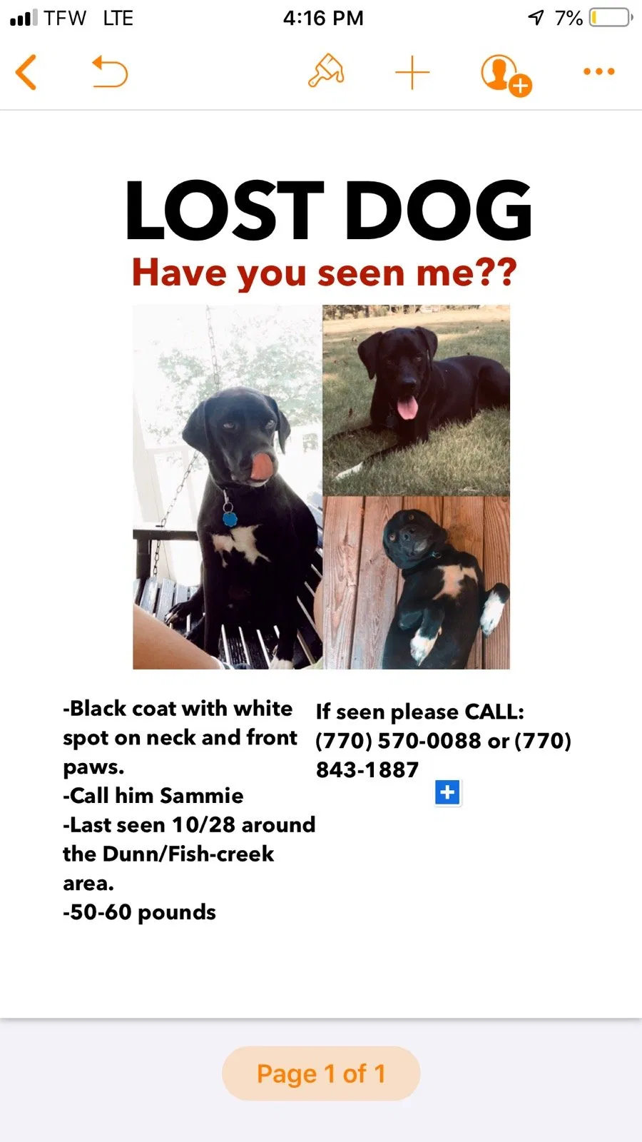 Lost dog in Silver Creek, GA, 30173