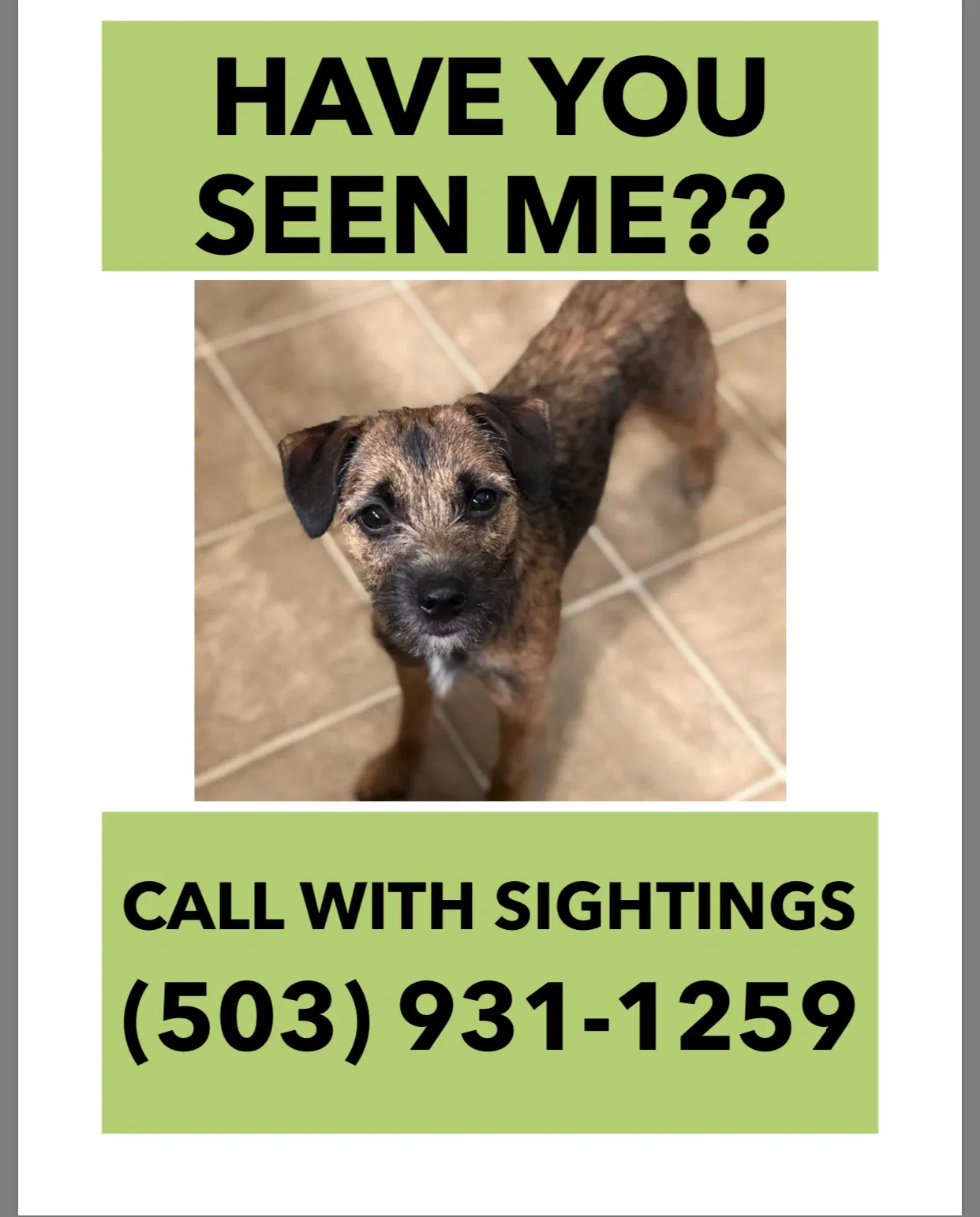 Lost dog in Portland, OR, 97222