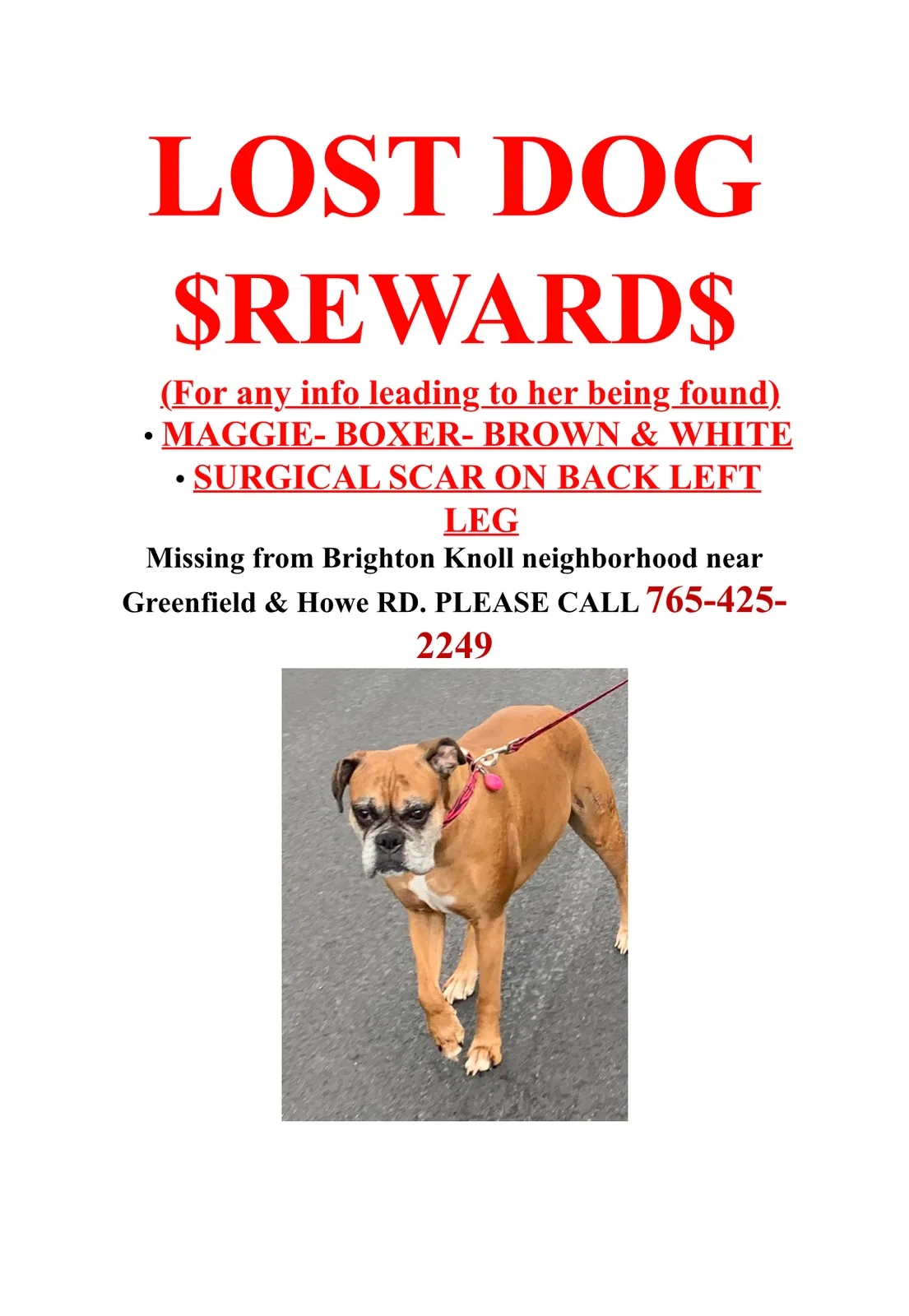 Lost dog in Noblesville, IN, 46060