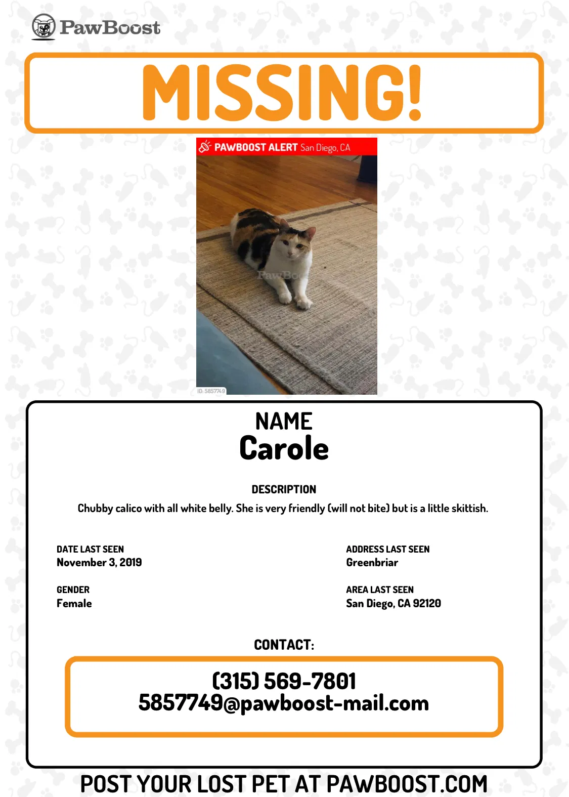 Lost cat in San Diego, CA, 92120