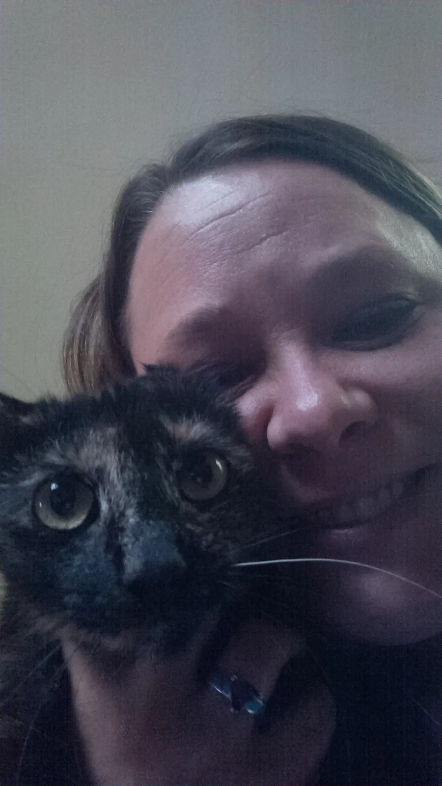 Lost cat in Goshen, OH, 45122