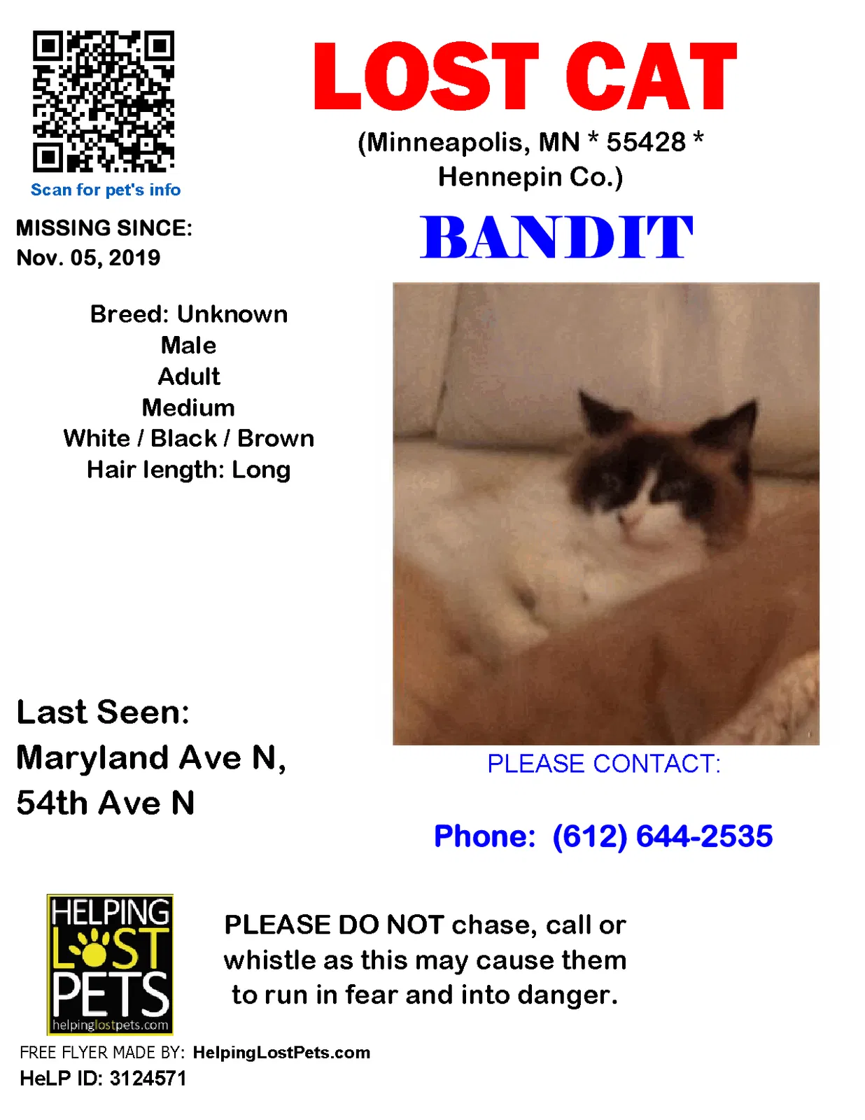 Lost cat in Minneapolis, MN, 55428