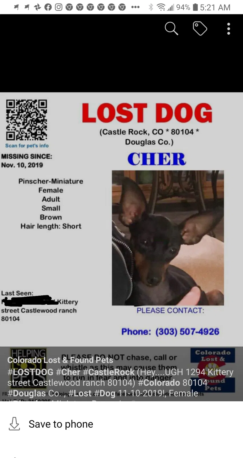 Lost dog in Castle Rock, CO, 80104