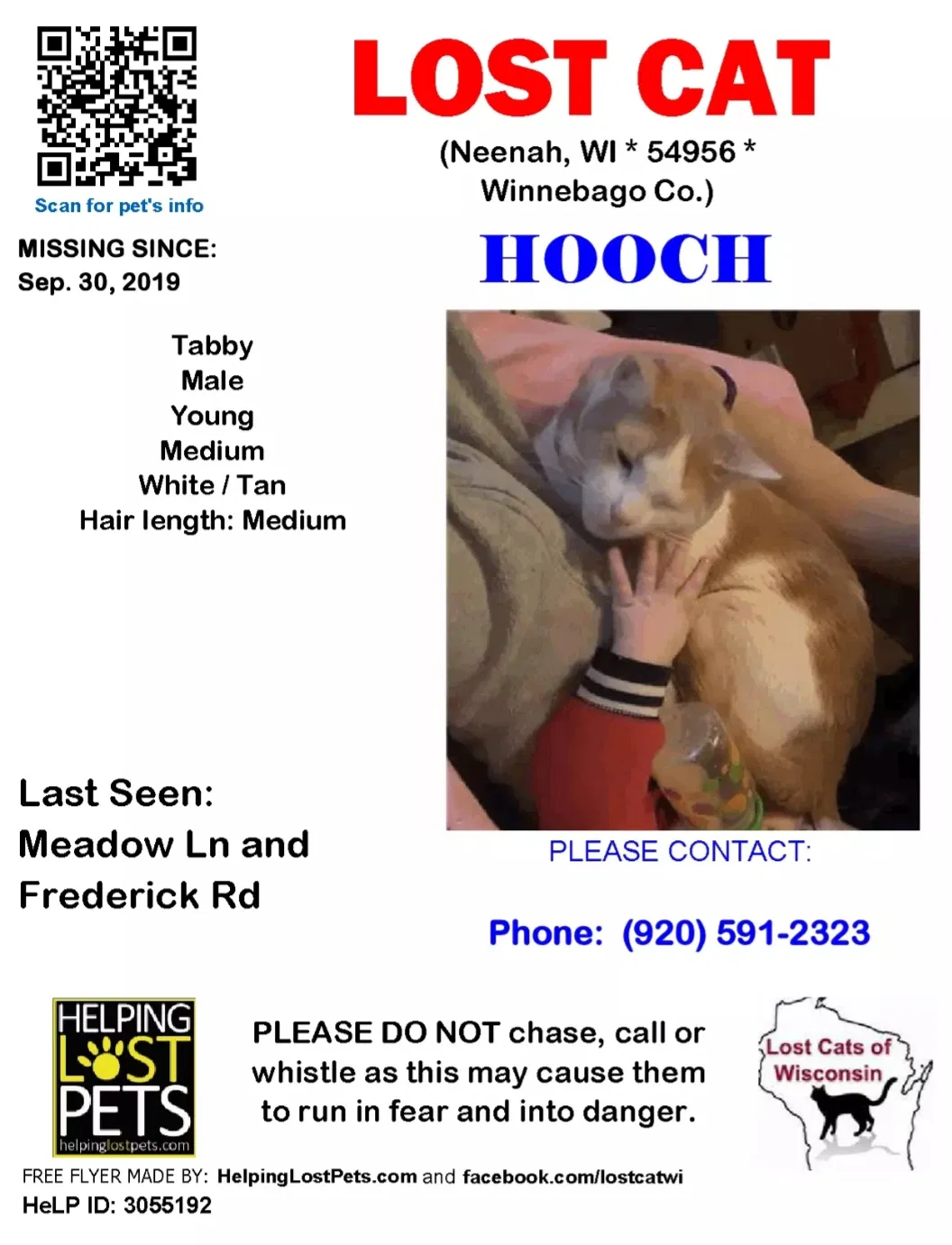 Lost cat in Neenah, WI, 54956