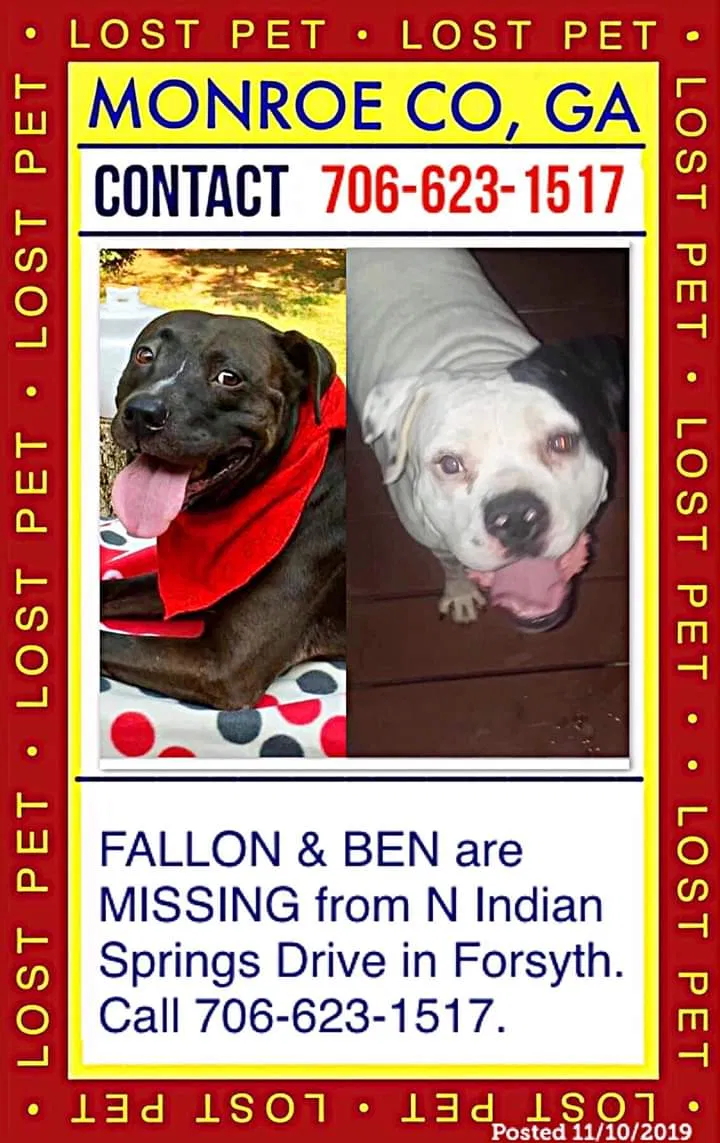 Lost dog in Forsyth, GA, 31029