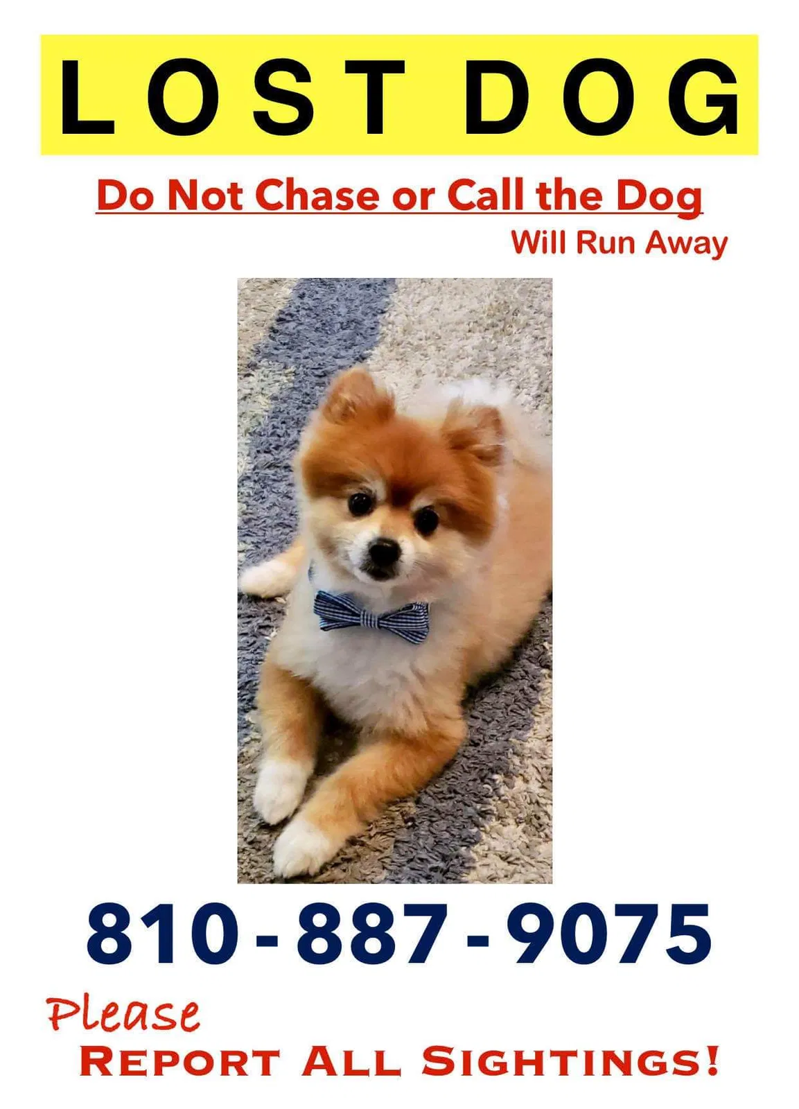 Lost dog in Clinton Township, MI, 48038