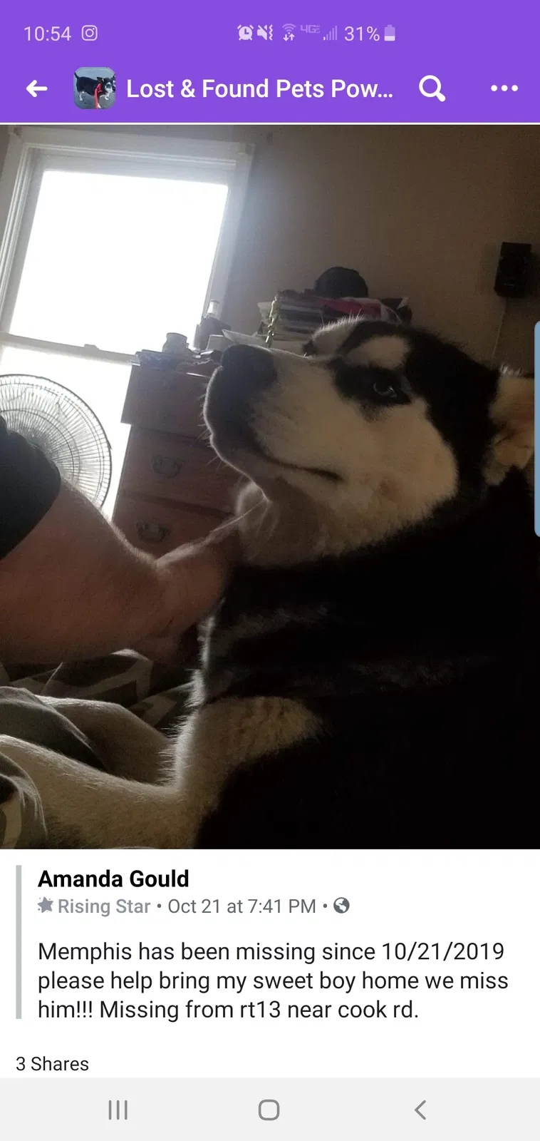 Lost dog in Powhatan, VA, 23139