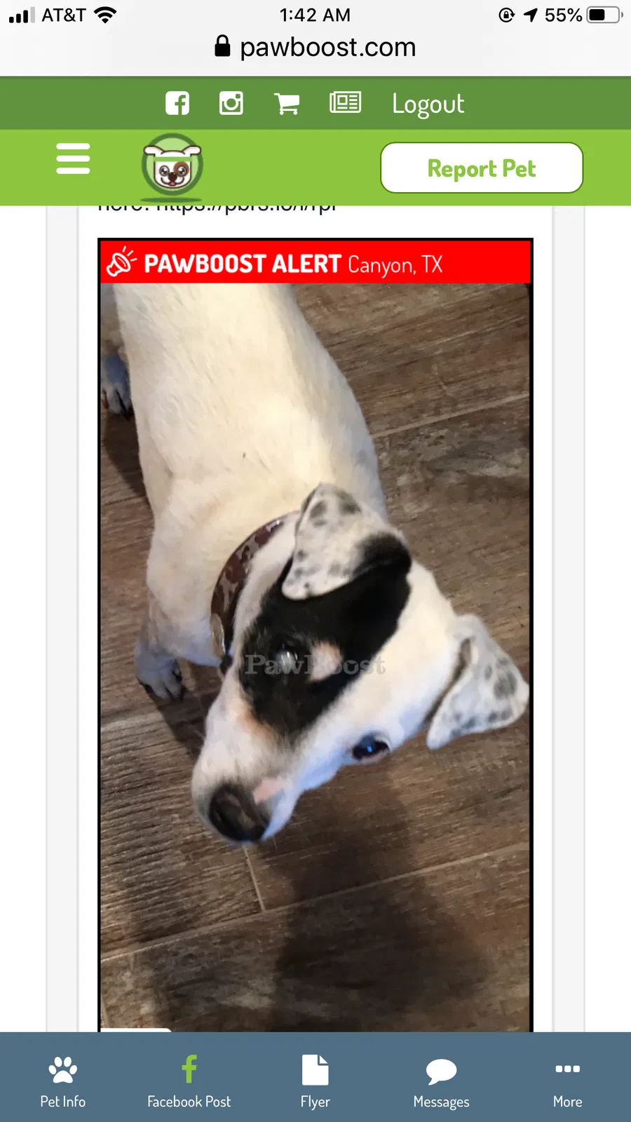 Lost dog in Canyon, TX, 79015