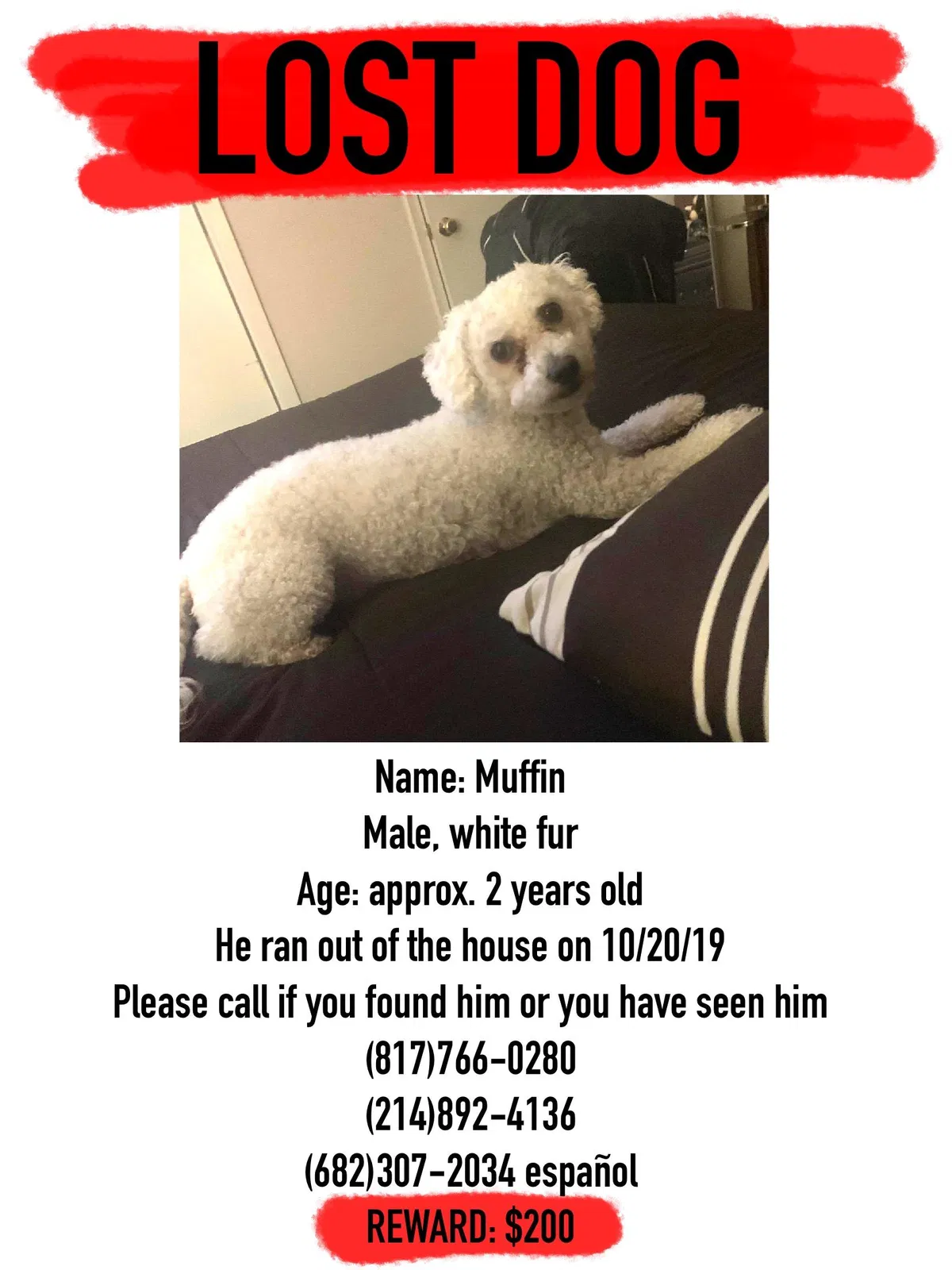 Lost dog in Fort Worth, TX, 76137