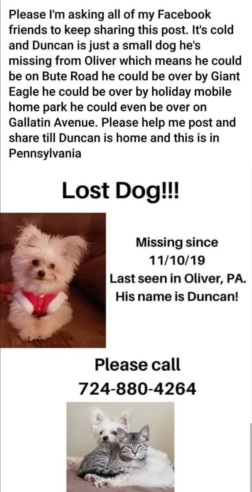Lost dog in Uniontown, PA, 15401