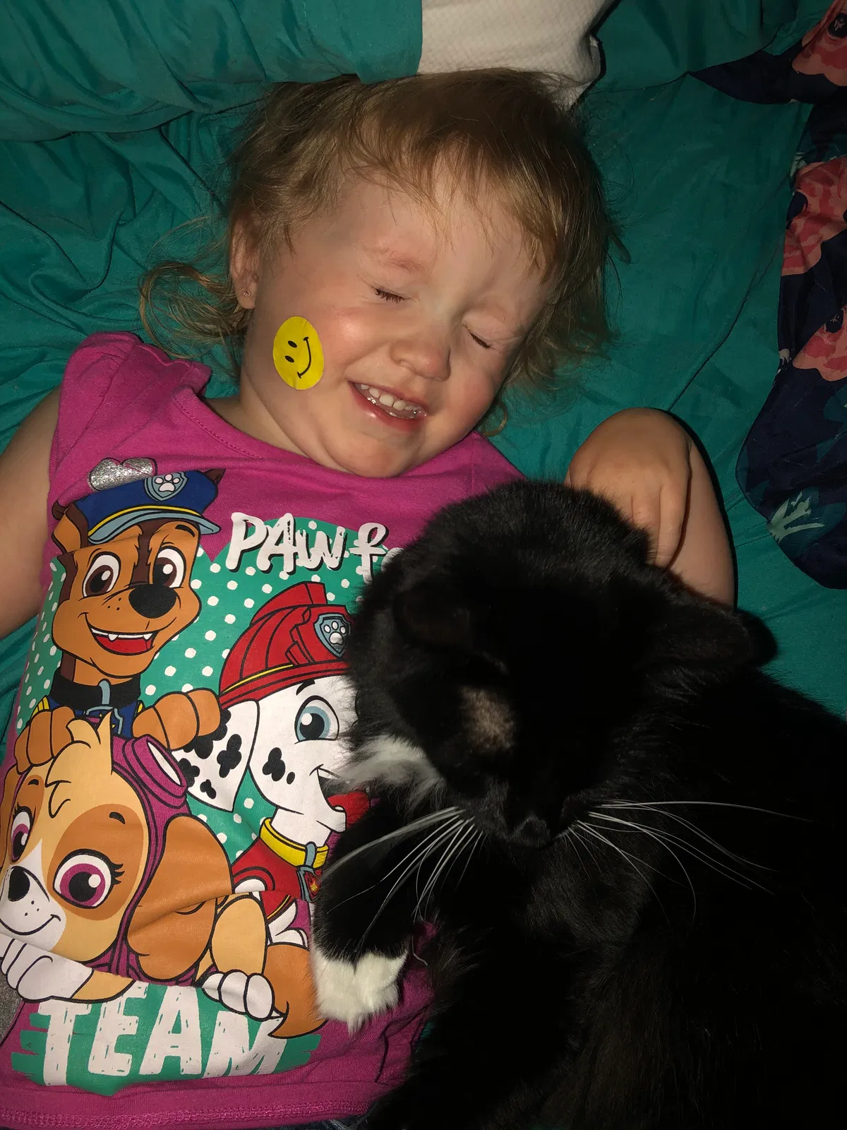Lost cat in Hewitt, TX, 76643