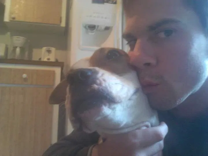 Lost dog in Bell, FL, 32619