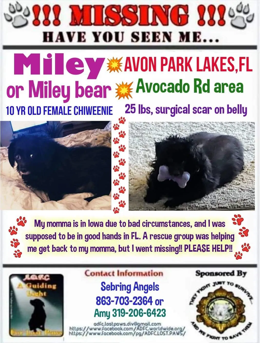 Lost dog in Avon Park, FL, 33825