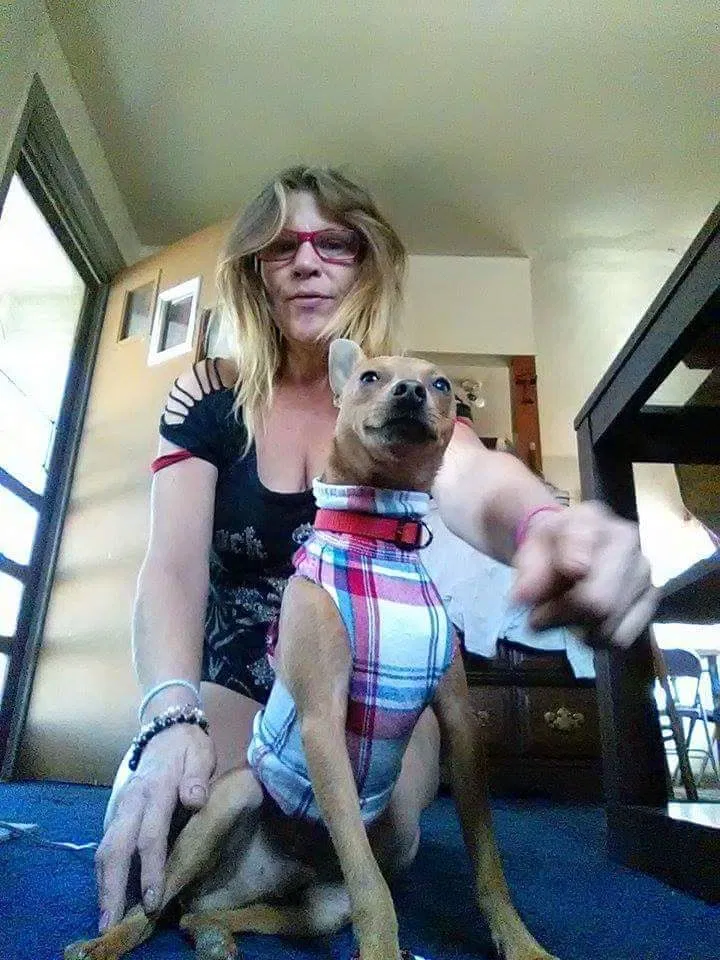 Lost dog in Corpus Christi, TX, 78401