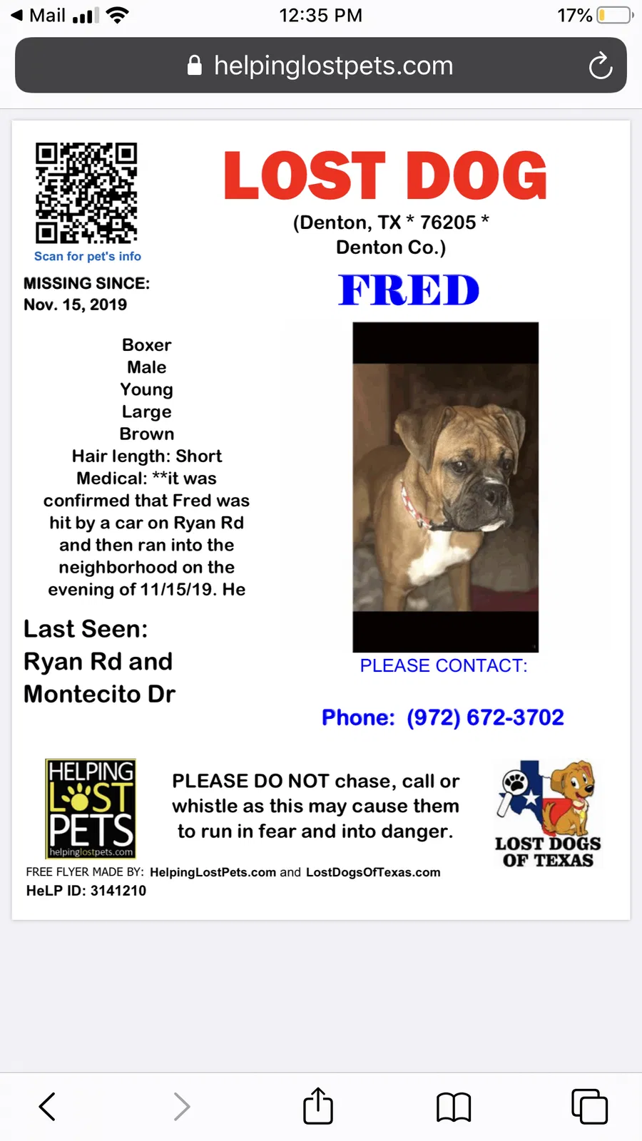 Lost dog in Denton, TX, 76205